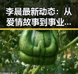 李晨最新动态：从爱情故事到事业转折的全盘观察