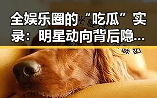全娱乐圈的“吃瓜”实录：明星动向背后隐藏的那些秘密
