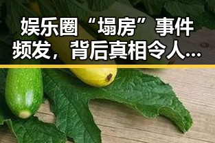 娱乐圈“塌房”事件频发，背后真相令人震惊？