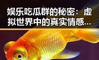 娱乐吃瓜群的秘密：虚拟世界中的真实情感和背后玄机？🤔
